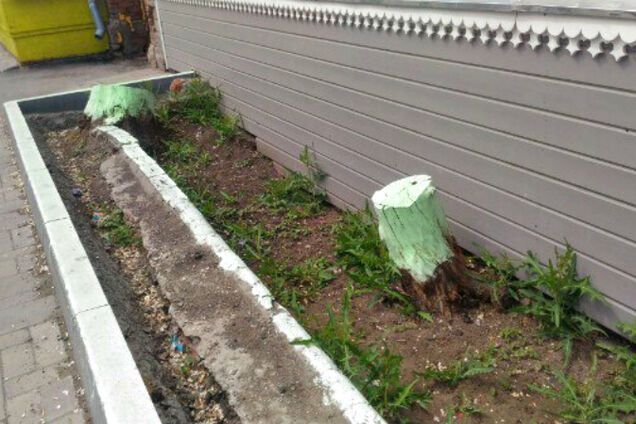 Фальш и разруха: СМИ показали позор городов ЧМ-2018