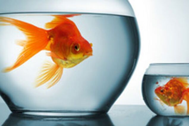 Дискримінація по-українськи: що то за мова, що 'солов’їною' зветься?