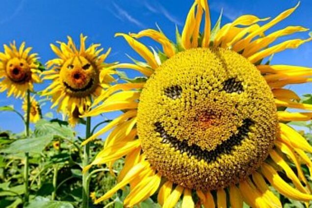 Цур тобі й пек, порєбрік!