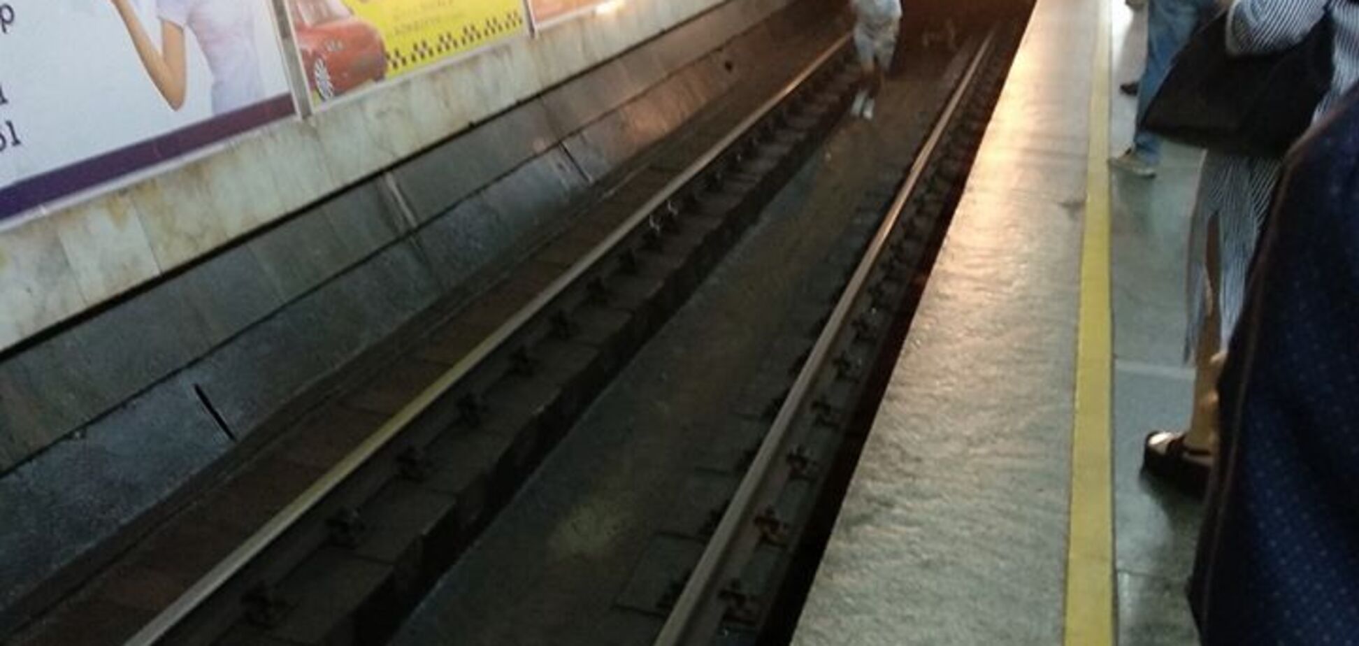 Стрибнули під потяг: діти сполошили київське метро. Фотофакт