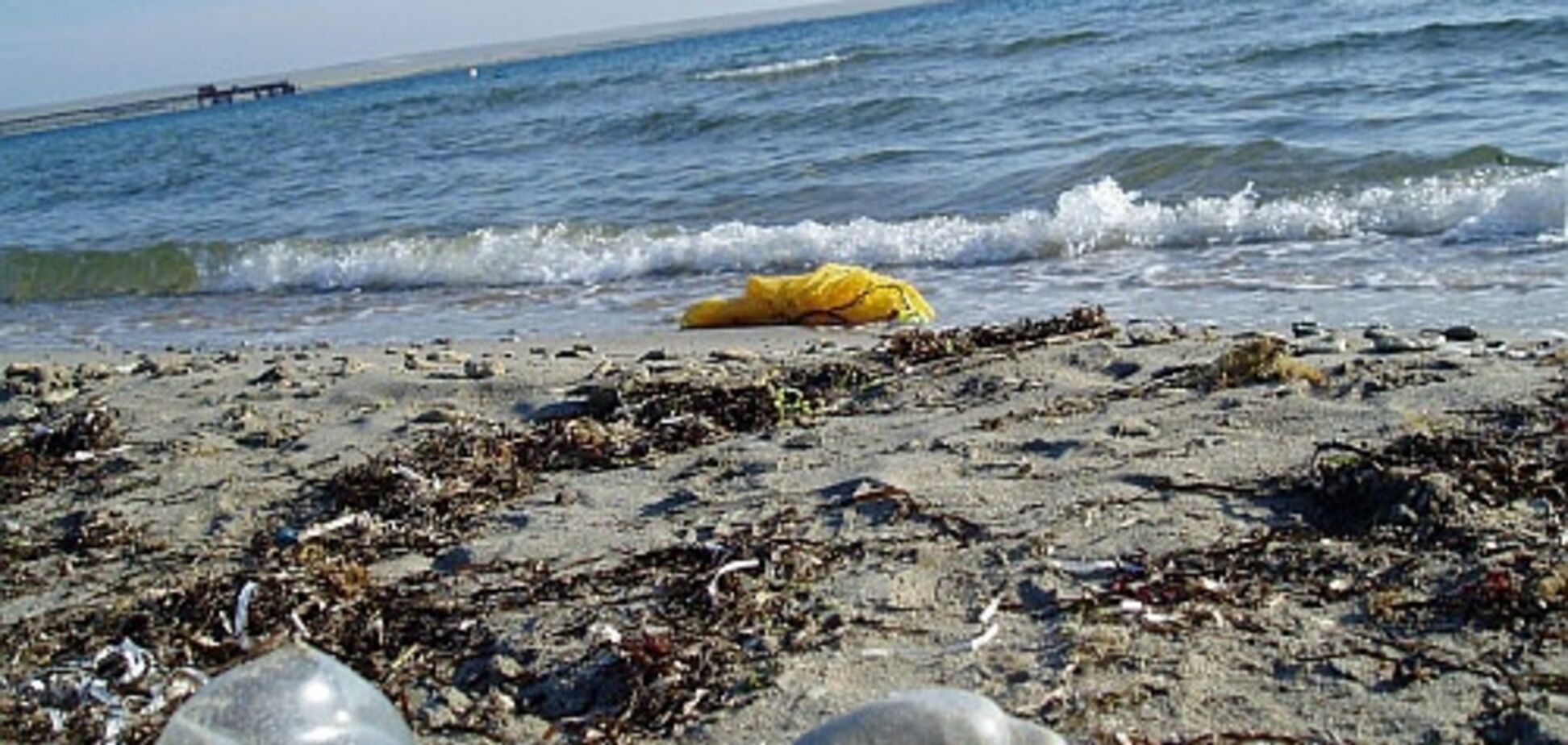 Осталось 15 лет: экологи предупредили о катастрофе в Черном море