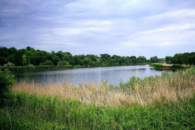 Когда Украина была морским дном