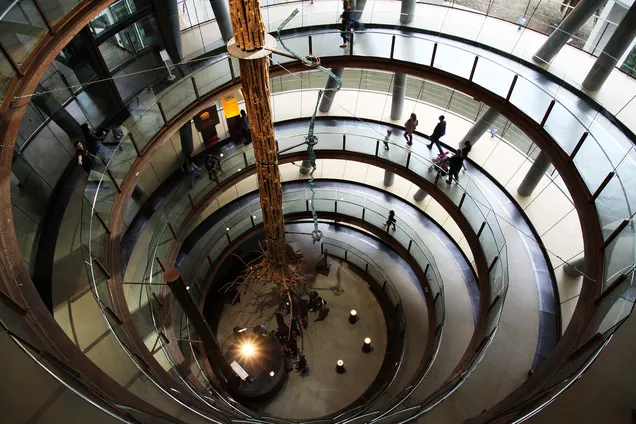 Музей науки CosmoCaixa в Барселоне