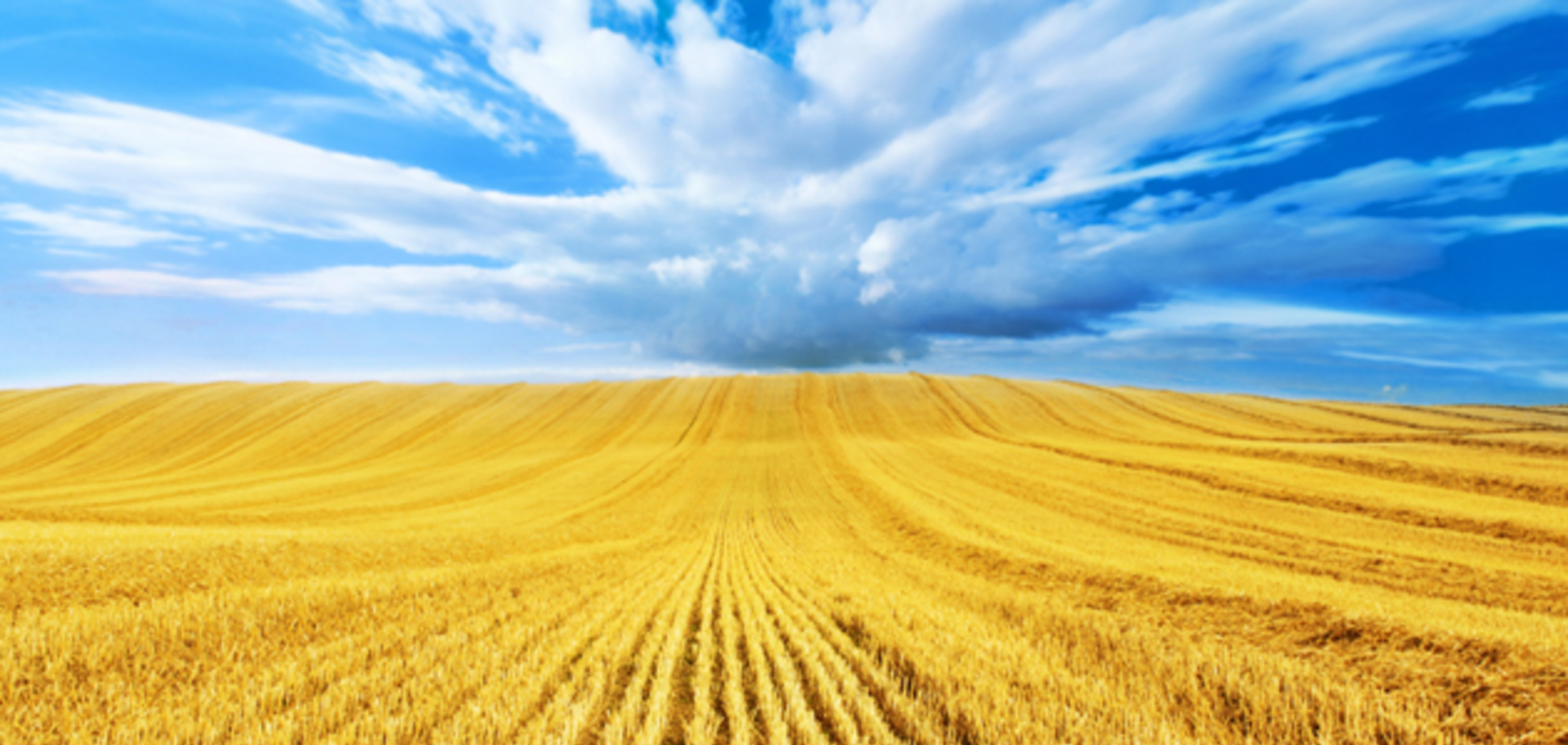 Хватит сидеть и ныть, как все плохо! Начинайте жить по-новому