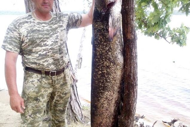 Украинский рыбак поймал сома-великана: появились фото чудо-рыбы