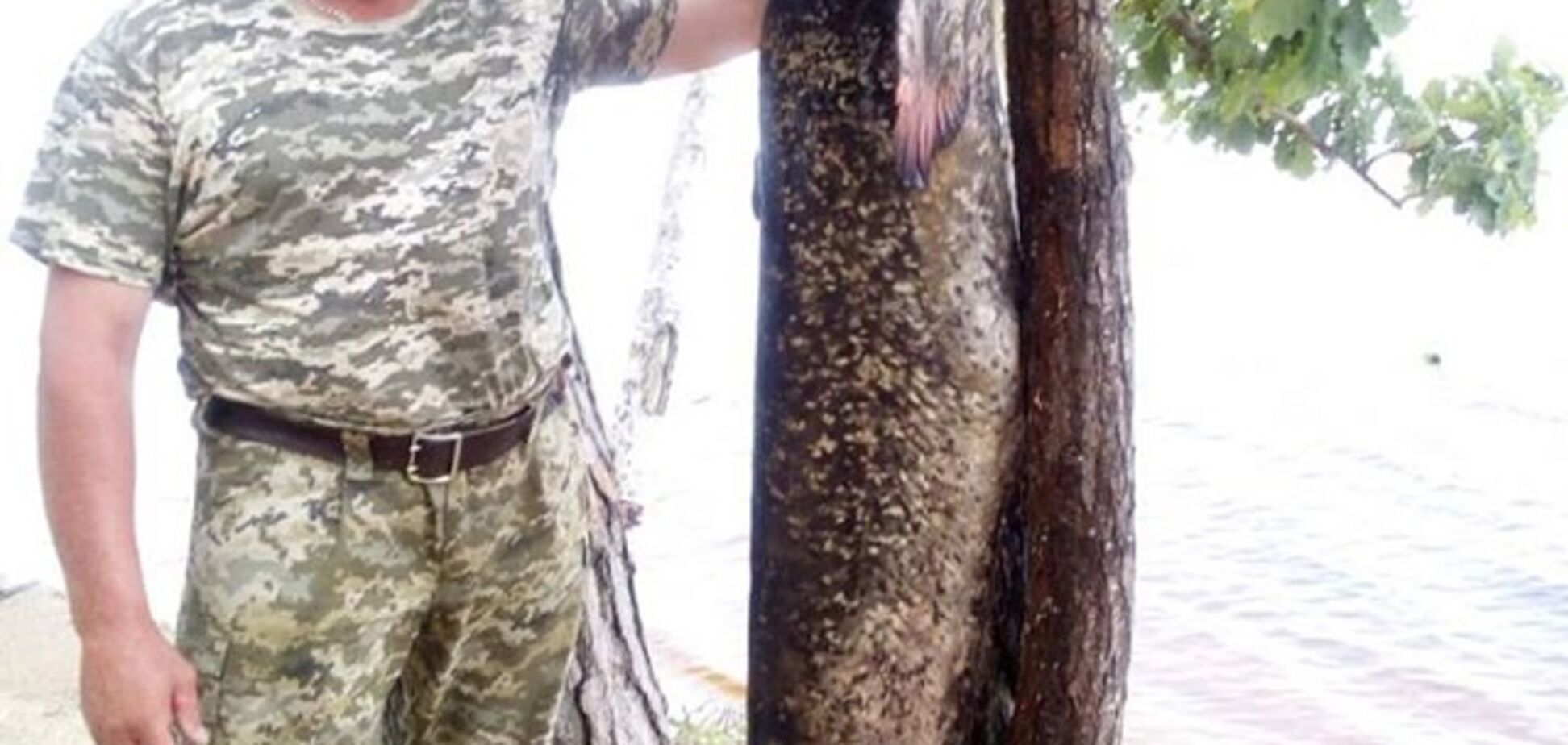 Украинский рыбак поймал сома-великана: появились фото чудо-рыбы