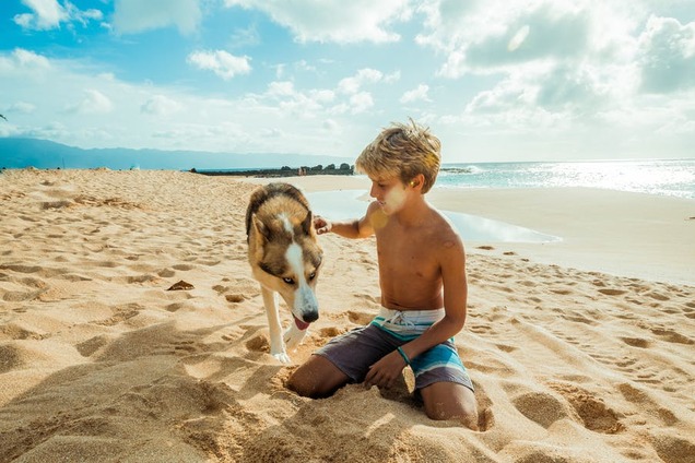Отдых в Бердянске: цены, отзывы и лучшие развлечения азовского курорта
