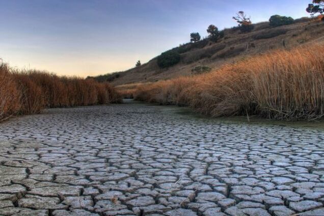 Засуха в Крыму: оккупанты готовы пойти на крайние меры