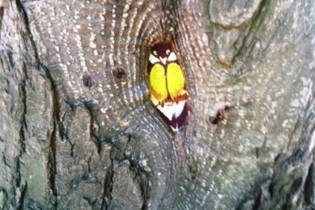 В Одессе появились разноцветные деревья: красочные фото