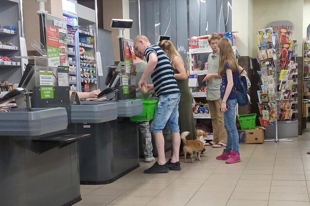 'Вона ж маленька!' Киян обурив випадок з собакою в супермаркеті