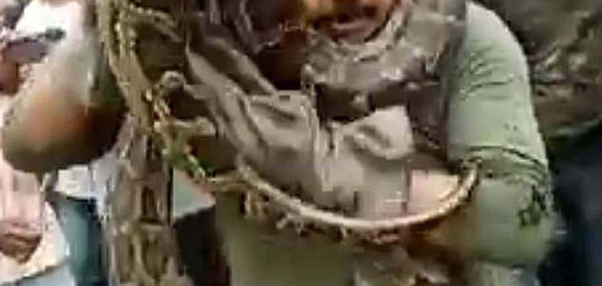 Оттащили товарищи: в Индии 10-метровый питон едва не убил своего спасителя