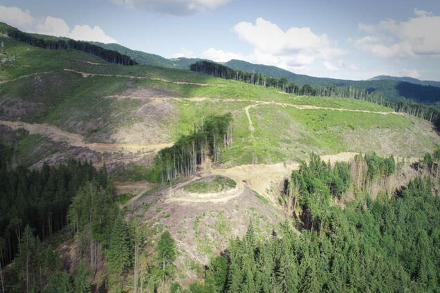 Голые Карпаты: исчезновение лесов показали со спутника