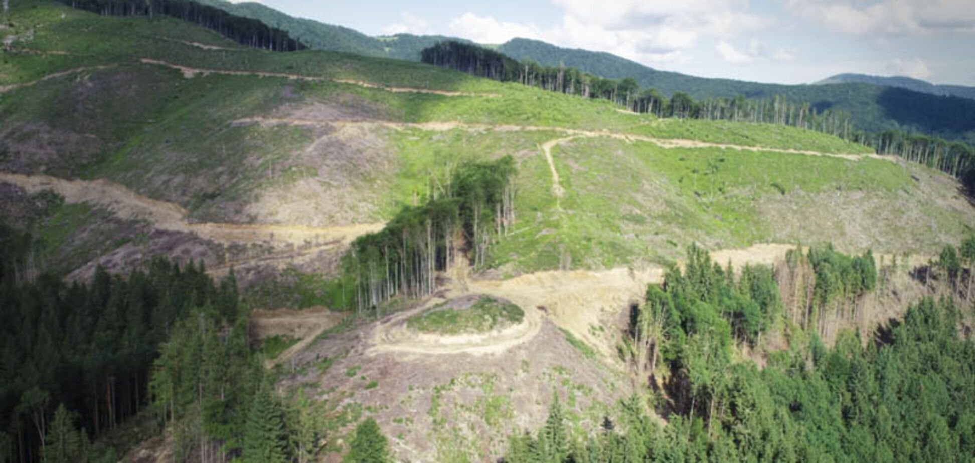 Голые Карпаты: исчезновение лесов показали со спутника