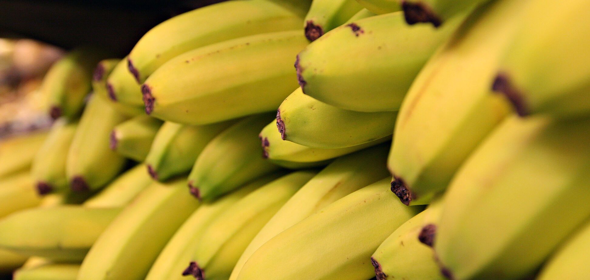 Україна значно збільшила експорт бананів