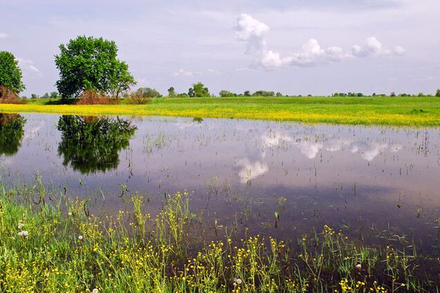 Погода в Украине