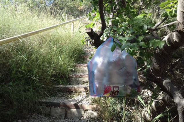 'Мусор и мертвый дельфин': появились новые фото из пляжей Крыма