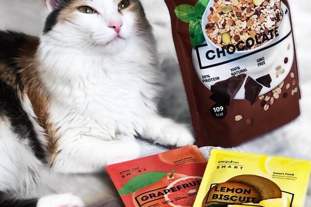 40 лет, разгрузочный день, кошка и мотивация