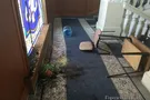 На мерію Харкова напали: з'явилися фото наслідків погрому