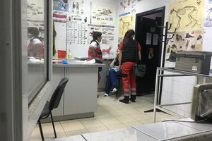 "Бив вогнегасником і ножем": у Києві напали на лікарів прямо в клініці