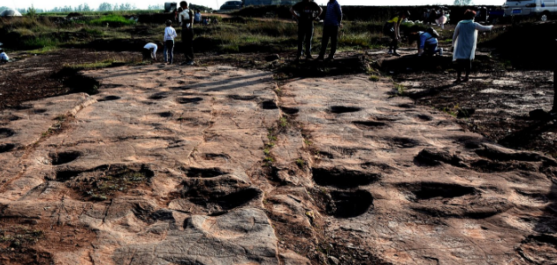 'Шокує': вчені знайшли сліди динозаврів у несподіваному місці