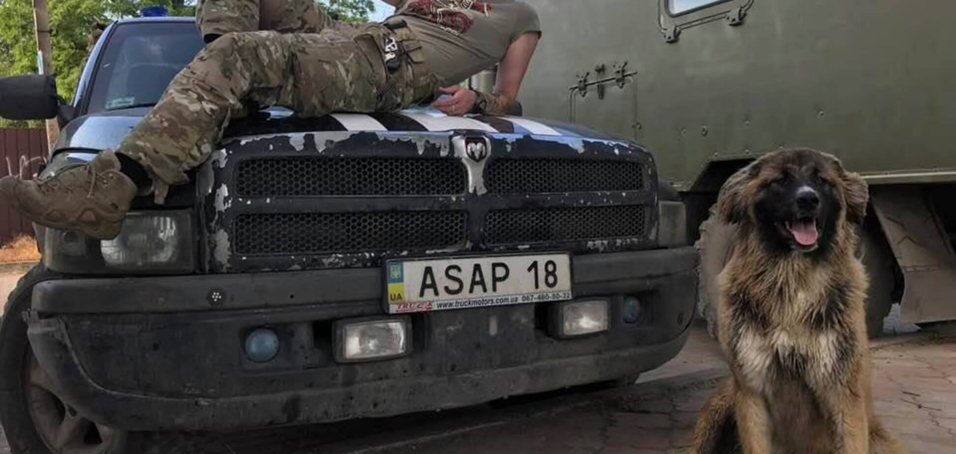 Юлия Паевская Тайра