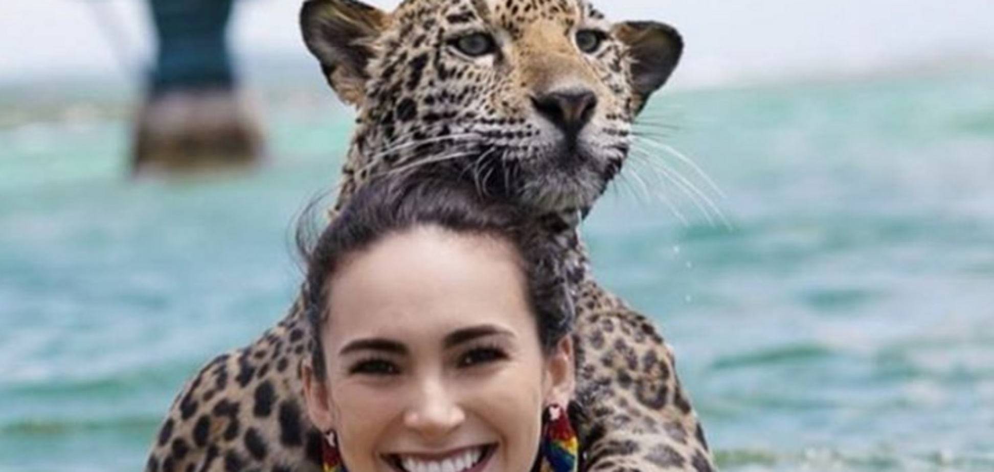 Купання з ягуарами в Карибському морі: неймовірні фото туристів