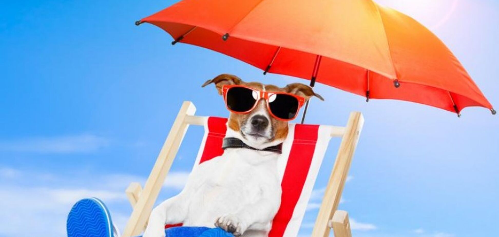 До +35: в Украину пришла адская жара