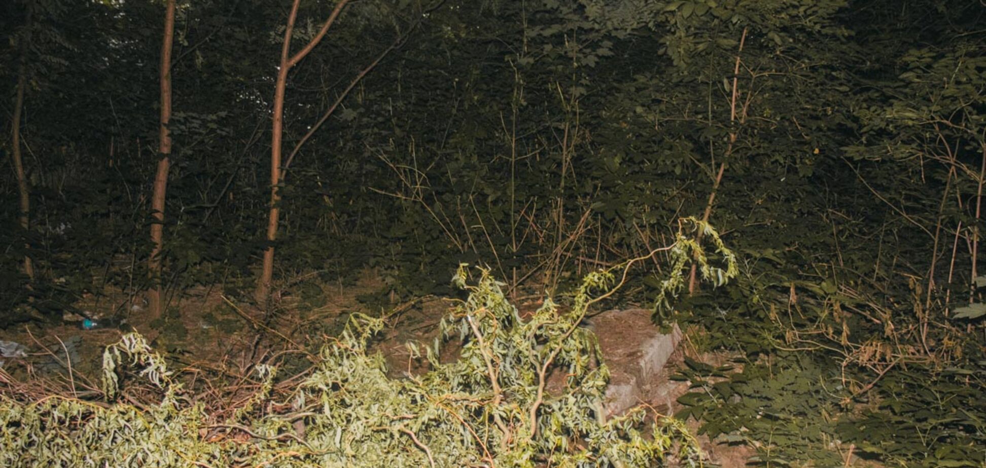 У Києві знайшли труп, що лежав на колінах: фото з місця НП