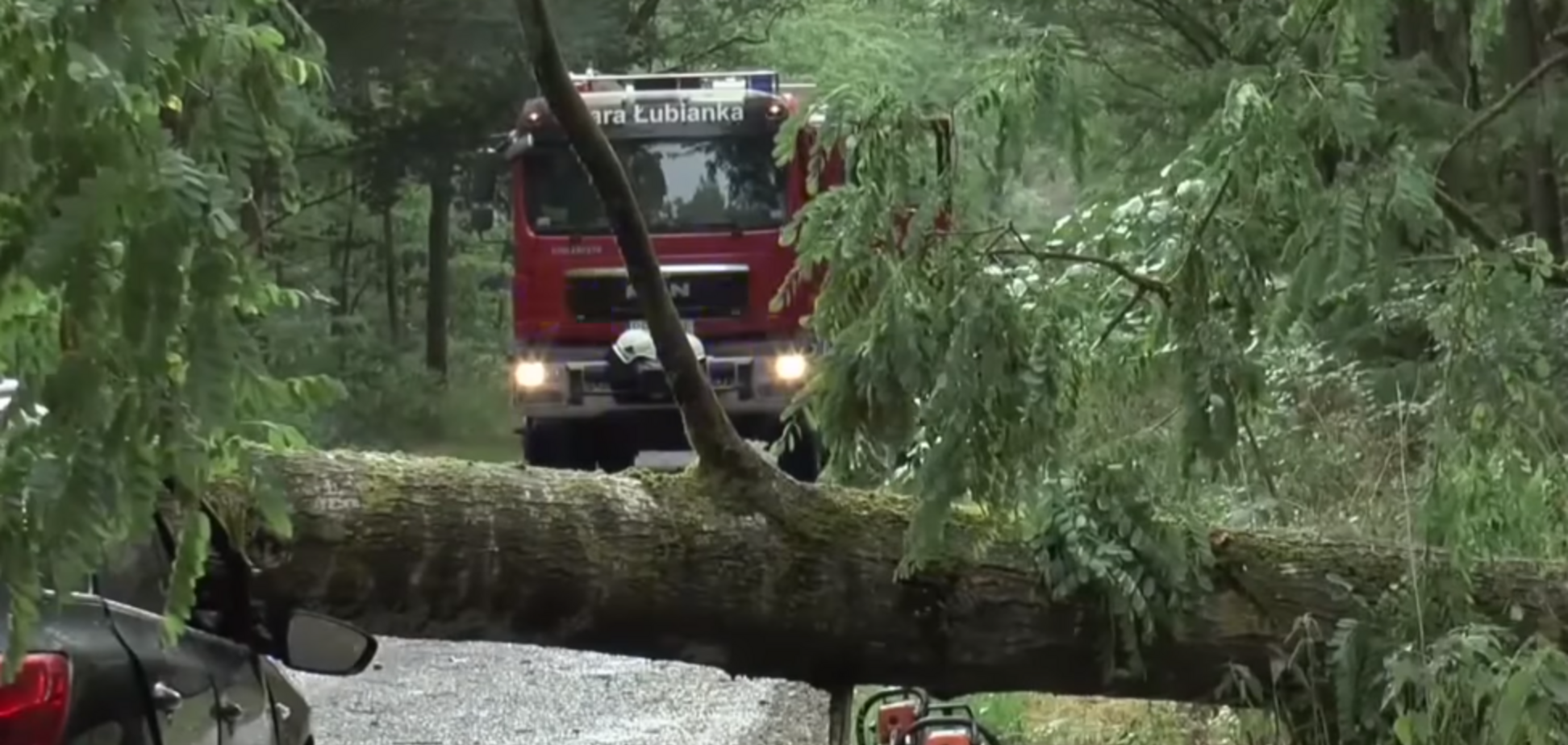 Пронесся мощный шторм: дерево убило заммэра польского города
