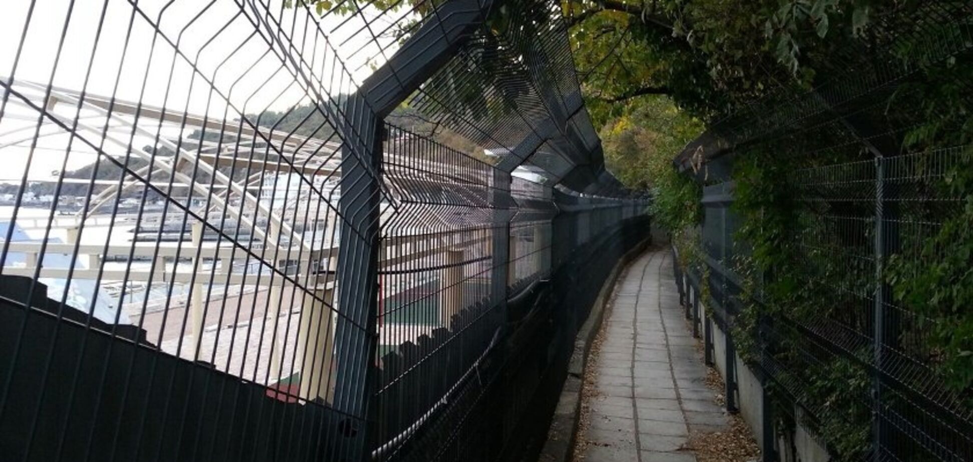 Рай відміняється: росіяни не поїдуть у Крим