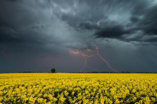 Погода в Украине