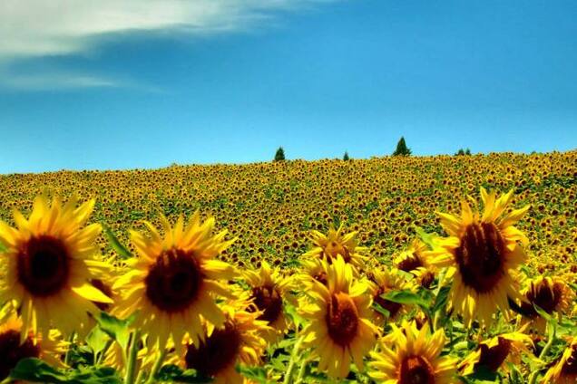 Переучитесь, россияне. Говорите только 'в' Украине