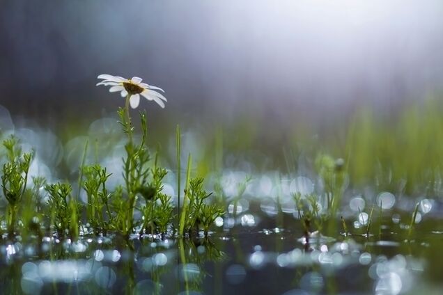 Нестабильность: синоптик уточнила прогноз погоды по Украине