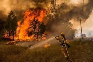 Йде евакуація: у Каліфорнії вирують лісові пожежі