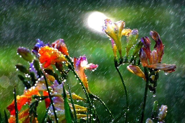 Придет жара, а затем снова холод: погода на неделю в Украине