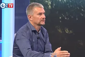 Боровик