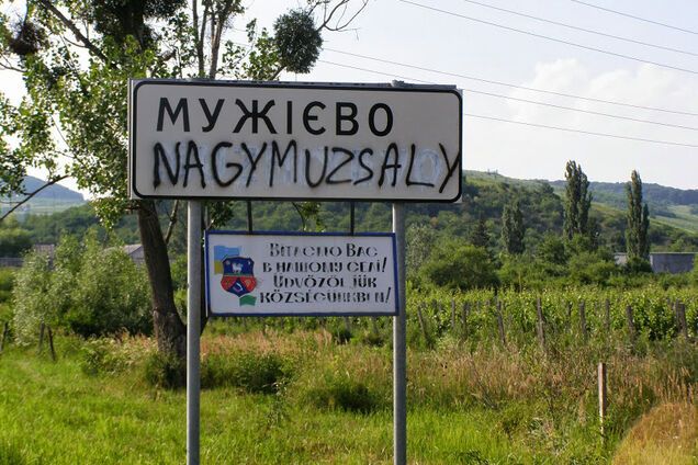 'Потом залезут на голову': в Раде ответили Венгрии на языковые требования