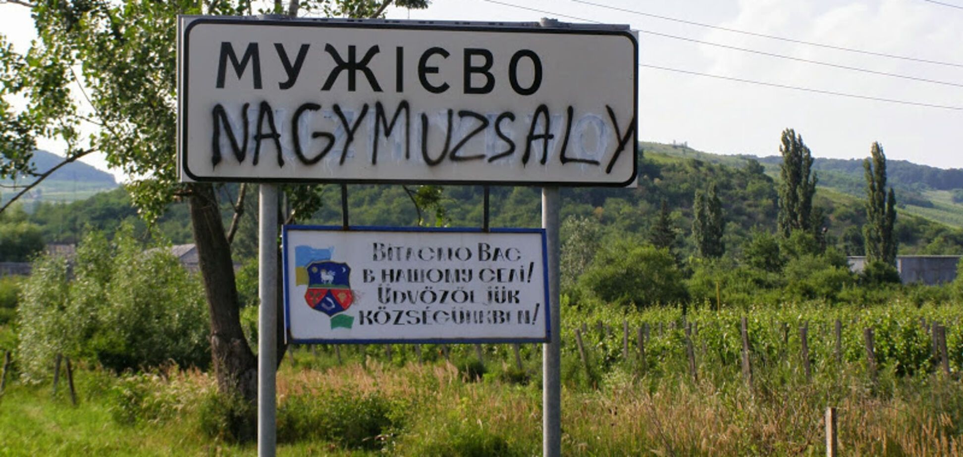 'Потом залезут на голову': в Раде ответили Венгрии на языковые требования