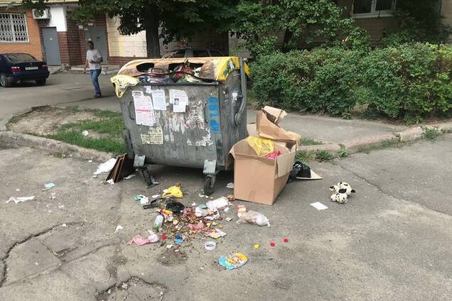 'Бігають прямо під під'їздами': мешканці Києва поскаржилися на навалу пацюків