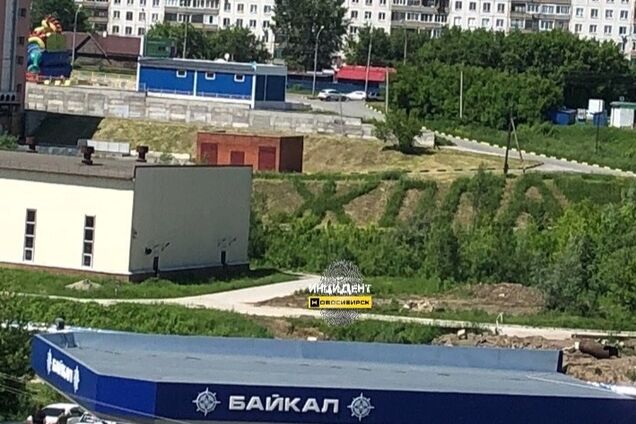 Газон в Новосибирске