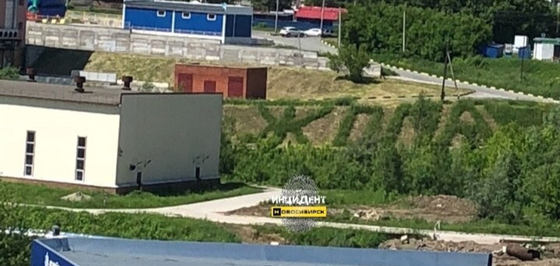 'Садовник 80 уровня': на 125 лет Новосибирска россиянам подарили 'ж*пу'. Фотофакт