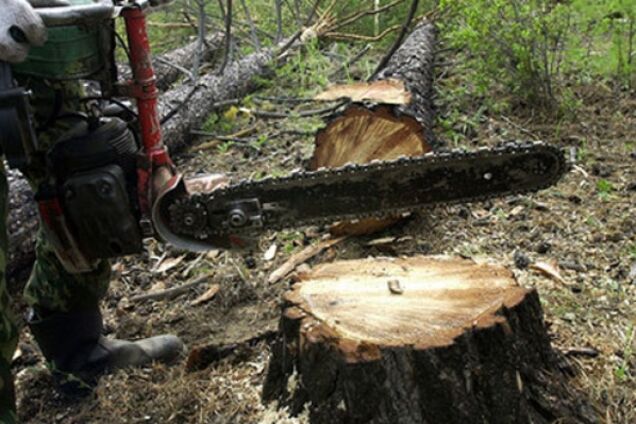 С каждым днем все хуже: экологи показали, как Россия изуродовала Крым