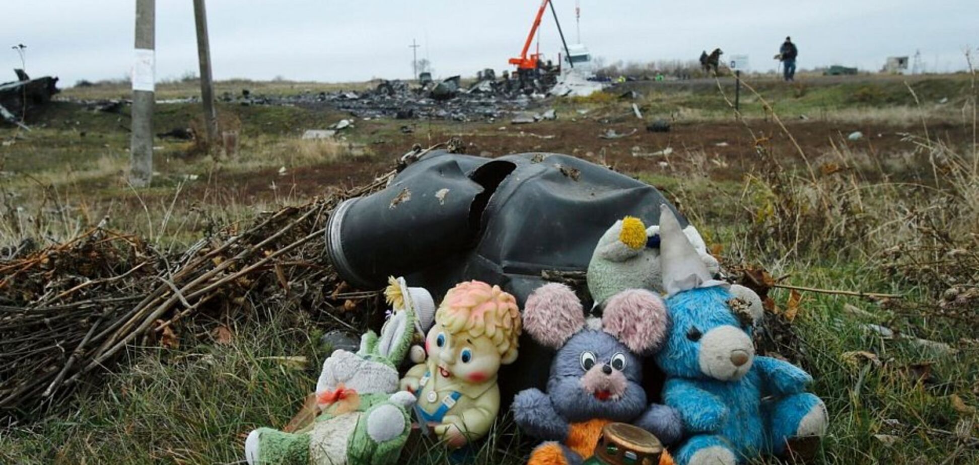 Крах MH17: