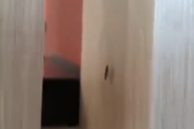 Це десерт: в Києві в популярному фаст-фуді знайшли таргана