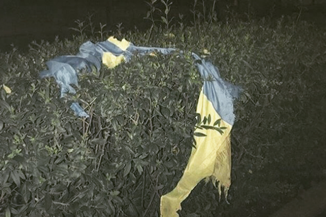 На Львовщине заметили изуродованный флаг Украины: опубликованы фото 