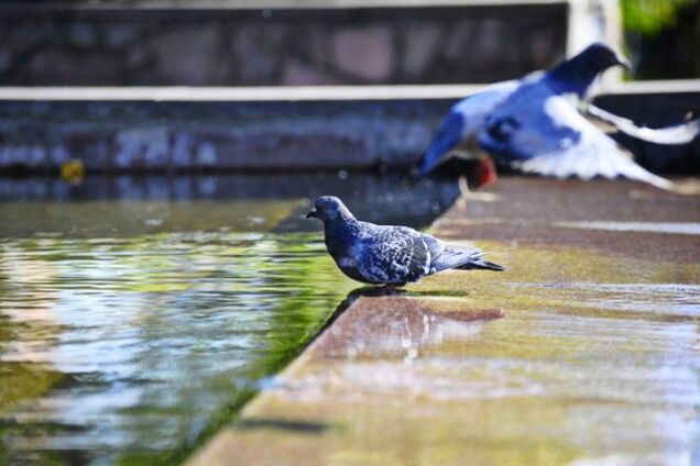 Жарче обычного: появился прогноз погоды на июнь