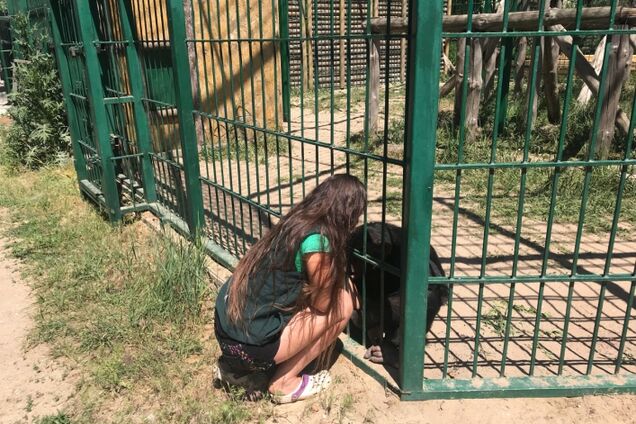 Обезьяна 'призналась' в любви сотруднице зоопарка Бердянска. Видеофакт