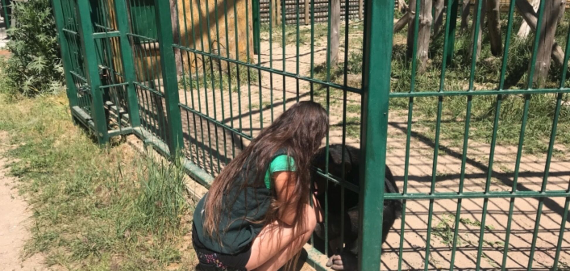 Мавпа 'зізналася' в любові співробітниці зоопарку Бердянська. Відеофакт