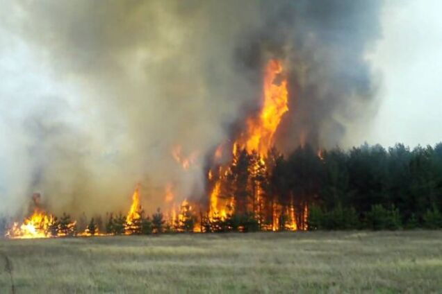 В Чернобыле вспыхнул пожар возле самого опасного участка