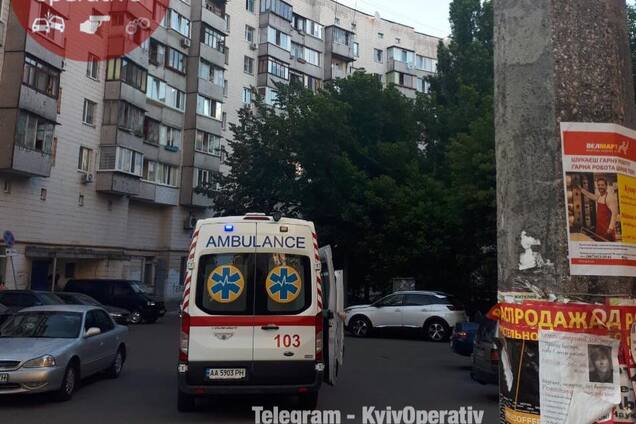 'Постійно нападають': у Києві хижаки почали атакувати людей прямо на вулицях